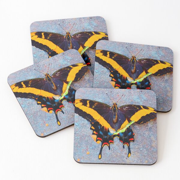 Item preview, Cuban  Swallowtail Butterfly Relaxing On A Grey Wall RZ  3/25 designed and sold by Unlimited Imagination .
