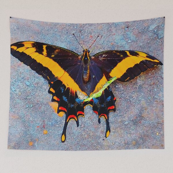 Item preview, Cuban  Swallowtail Butterfly Relaxing On A Grey Wall RZ  3/25 designed and sold by Unlimited Imagination .