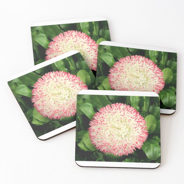 Item preview, Daisy designed and sold by cosmic does photography.