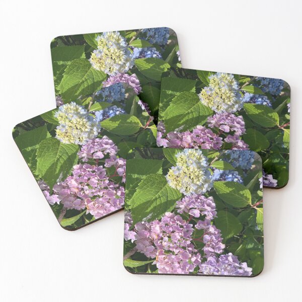 Item preview, Many Colors of Hydrangea on One Plant  designed and sold by Amanda1775.