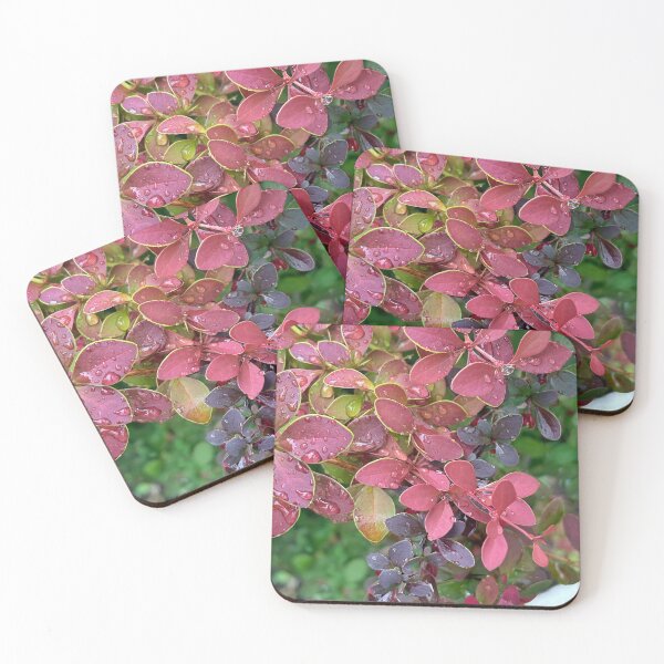 Item preview, barberry bush and raindrops close-up, botanical style for textiles and stationery designed and sold by Sunshine2504.