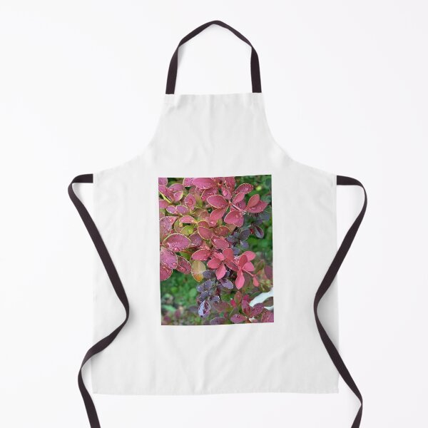 Item preview, barberry bush and raindrops close-up, botanical style for textiles and stationery designed and sold by Sunshine2504.