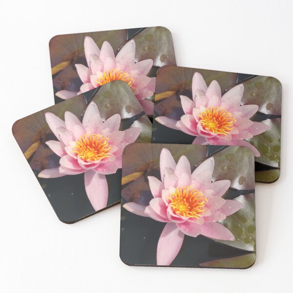 Item preview, Bright pink waterlily photograph  designed and sold by esvb.