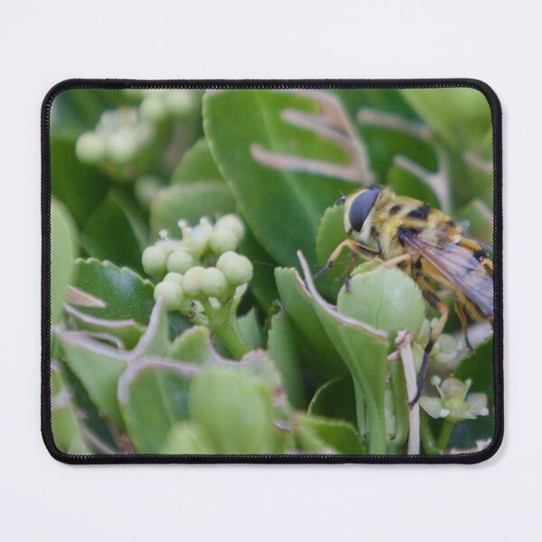 Item preview, Hoverfly Close-Up Photo Print designed and sold by JamesRainePhoto.