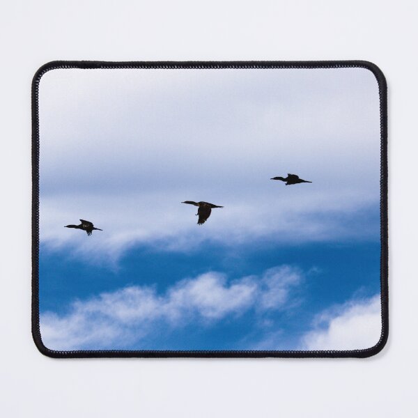 Item preview, In Formation photo print designed and sold by JamesRainePhoto.