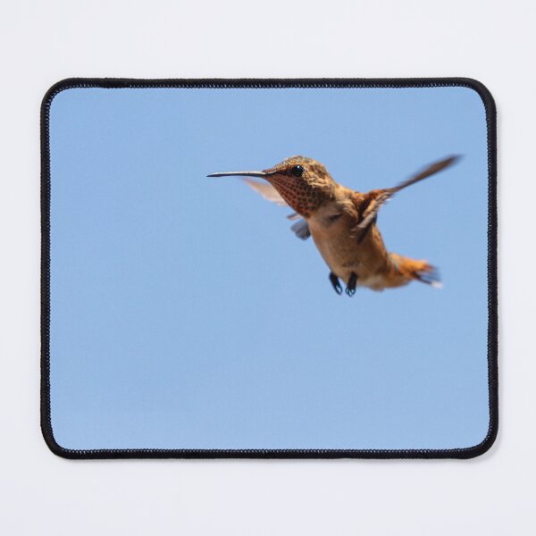 Item preview, Hovering Male Rufous Hummingbird designed and sold by Tootalled Photography .
