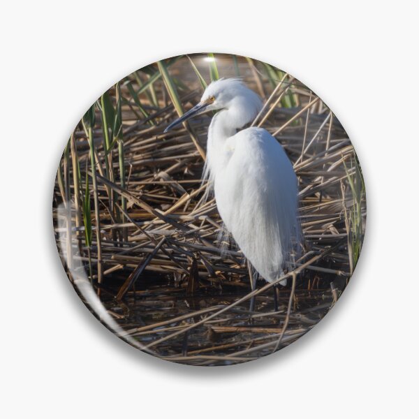 Item preview, Snowy Egret designed and sold by smacdonn.