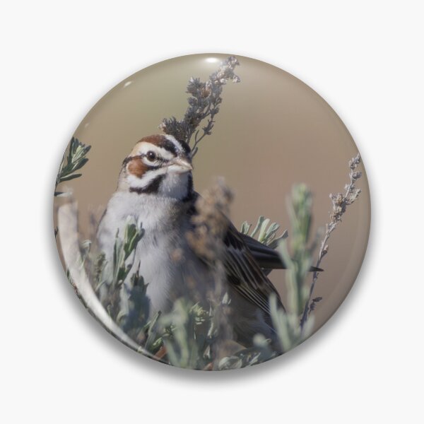 Item preview, Lark Sparrow designed and sold by smacdonn.