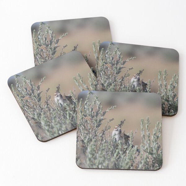 Item preview, Lark Sparrow designed and sold by smacdonn.