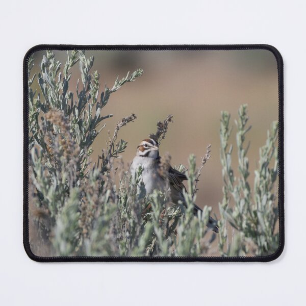 Item preview, Lark Sparrow designed and sold by smacdonn.