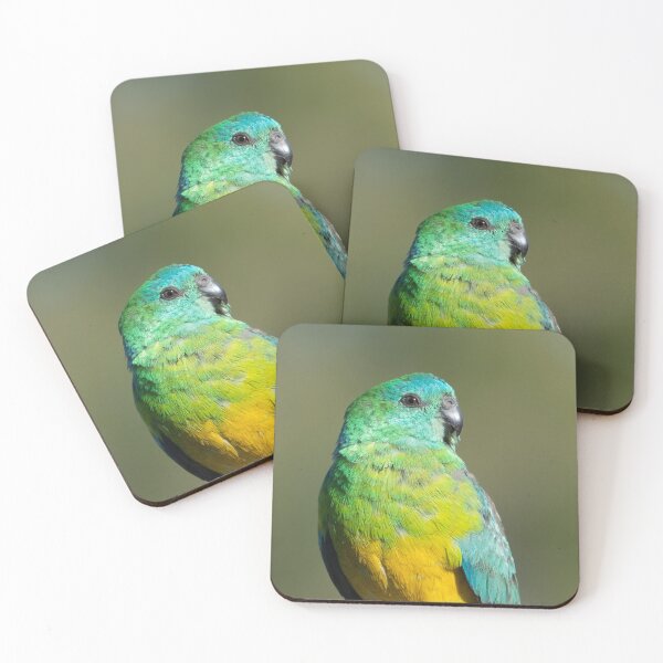 Item preview, Red Rumped Parrot designed and sold by andrewbensch.