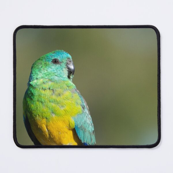 Item preview, Red Rumped Parrot designed and sold by andrewbensch.