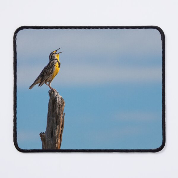 Item preview, Western Meadowlark designed and sold by smacdonn.