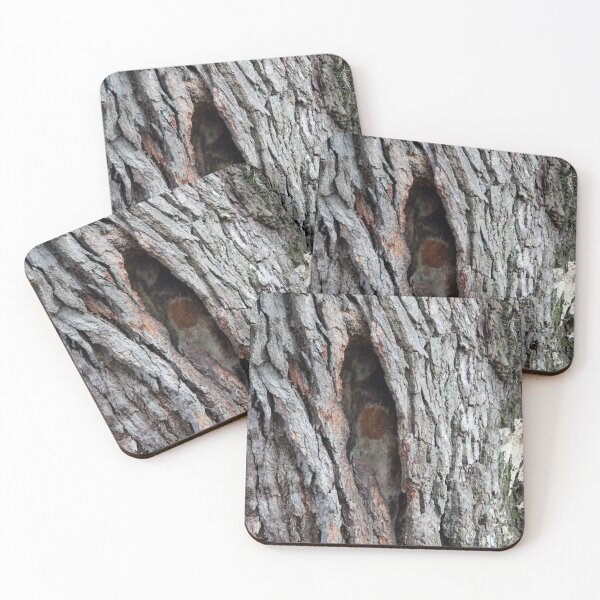 Item preview, Natural Cavity In Tree designed and sold by Cynthia48.