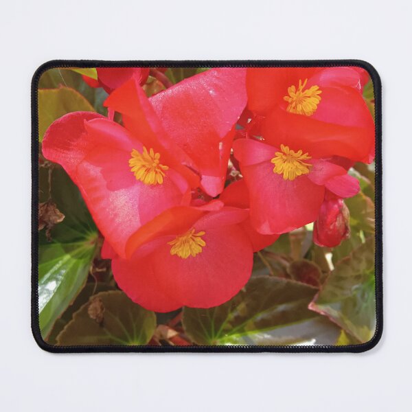 Item preview, Red flower designed and sold by Tiffcreations12.