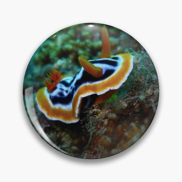 Item preview, Have you tried scubadiving? designed and sold by Lawrence Kramer.