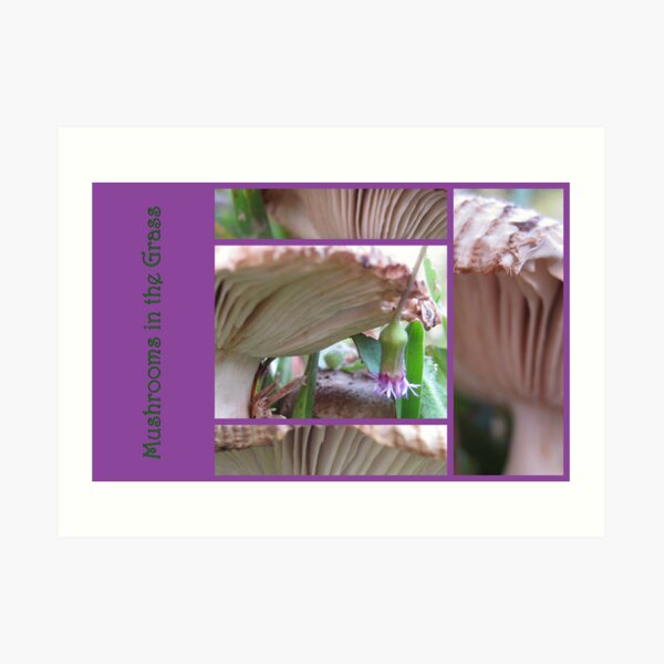 Mushrooms in the Grass Art Print
