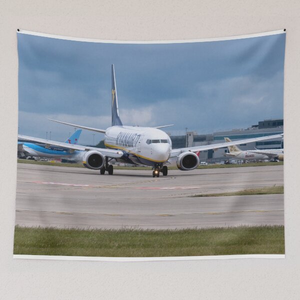 Item preview, MAN to AGP Ryanair Boeing 737-8AS designed and sold by Skyframe Aviation.