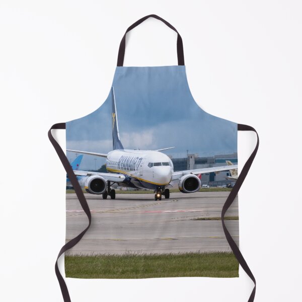 Item preview, MAN to AGP Ryanair Boeing 737-8AS designed and sold by Skyframe Aviation.