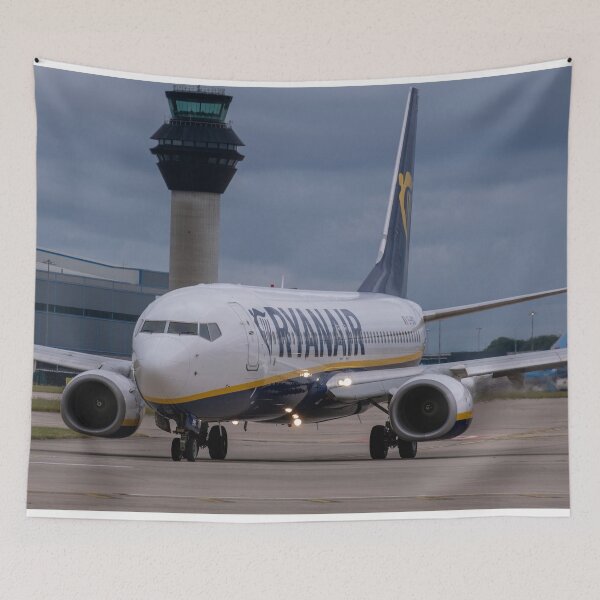 Item preview, MAN to AGP Ryanair Boeing 737-8AS designed and sold by Skyframe Aviation.