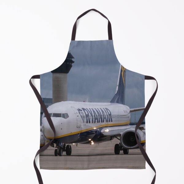 Item preview, MAN to AGP Ryanair Boeing 737-8AS designed and sold by Skyframe Aviation.