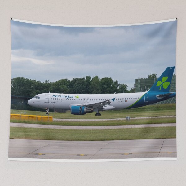 Item preview, MAN from DUB Aer Lingus Airbus A320-214 designed and sold by Skyframe Aviation.