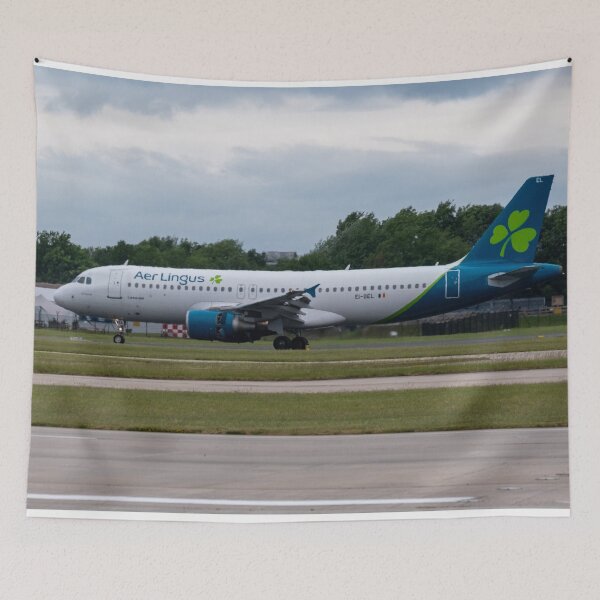 Item preview, MAN from DUB Aer Lingus Airbus A320-214 designed and sold by Skyframe Aviation.
