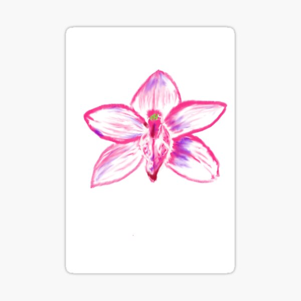 Pink Cymbid Orchid Sticker