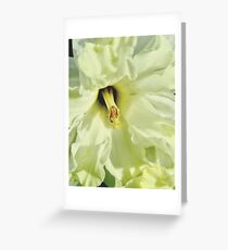 Georgia O'Daffodil 9814 Greeting Card