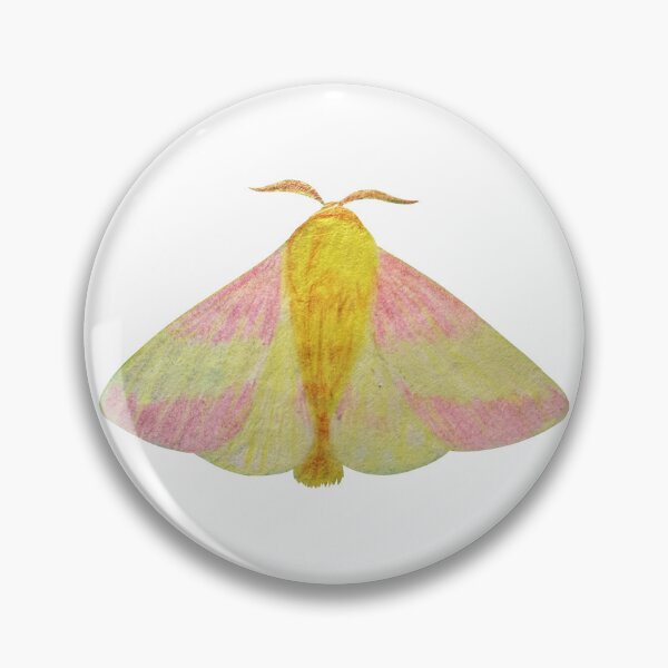 Item preview, Rosy maple moth designed and sold by DoodleSnake58.