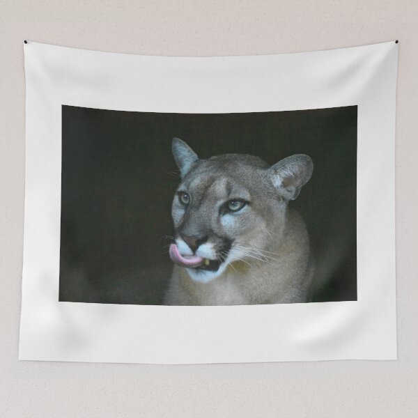 Item preview, Florida Panther Portrait designed and sold by MercerImages.