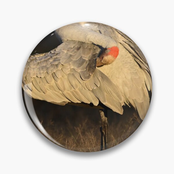 Item preview, Outback Brolga sunrise designed and sold by Meg Forbes.