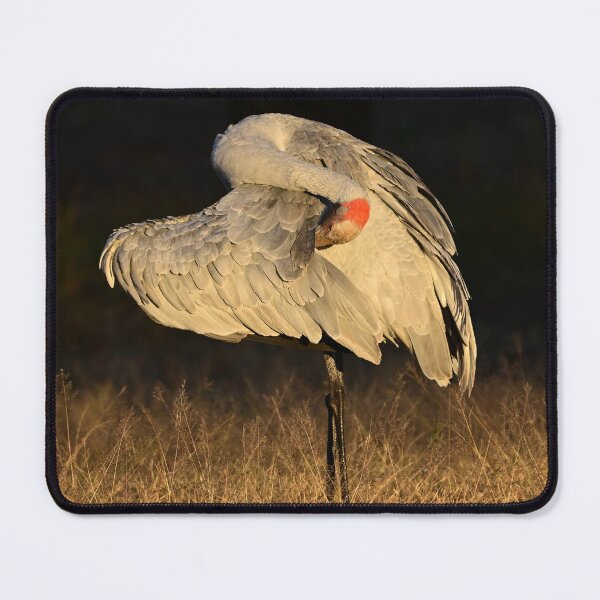 Item preview, Outback Brolga sunrise designed and sold by Meg Forbes.