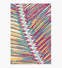 Palms,sand,summer Photographic Print
