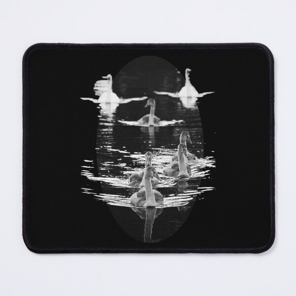 Item preview, Cygnet Family designed and sold by Murph's Images.