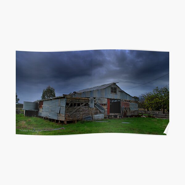 Old Shed Poster