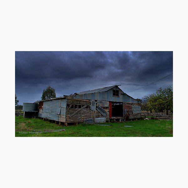 Old Shed Photographic Print