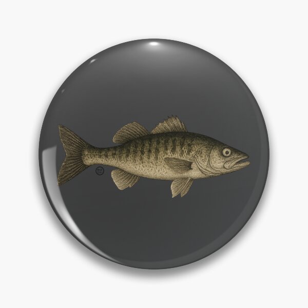 Artikelvorschau, Waleye Fisch - Vintage japanische Kunst - Fisch entworfen und verkauft von Kabuji Store.