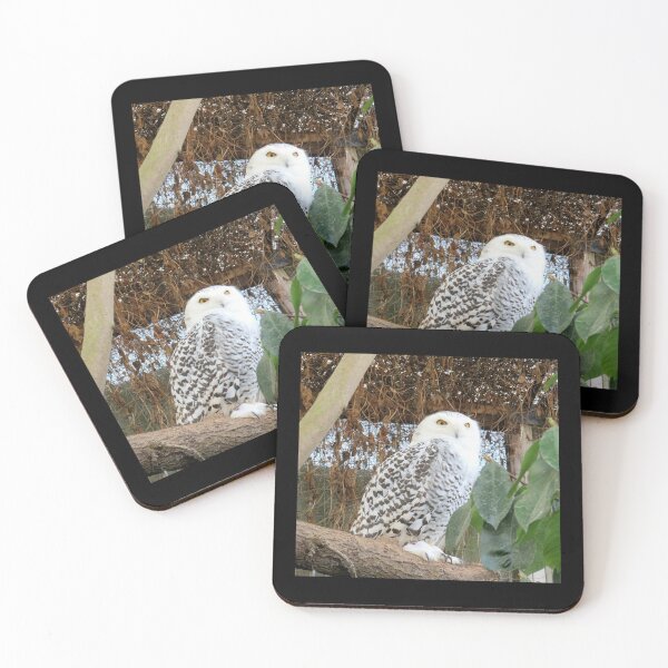 Item preview, Snowy Owl designed and sold by cosmic does photography.