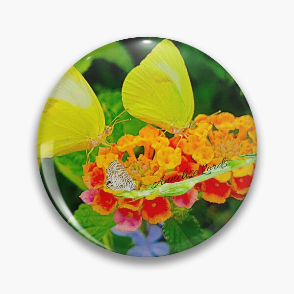 Item preview, Eurema Lisa Feeding the Earth  With Kindness 10/24 designed and sold by Unlimited Imagination .