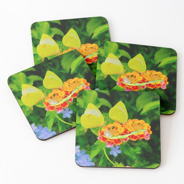 Item preview, Eurema Lisa Feeding the Earth  With Kindness 10/24 designed and sold by Unlimited Imagination .
