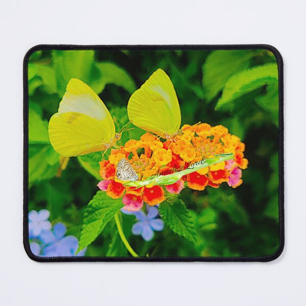 Item preview, Eurema Lisa Feeding the Earth  With Kindness 10/24 designed and sold by Unlimited Imagination .