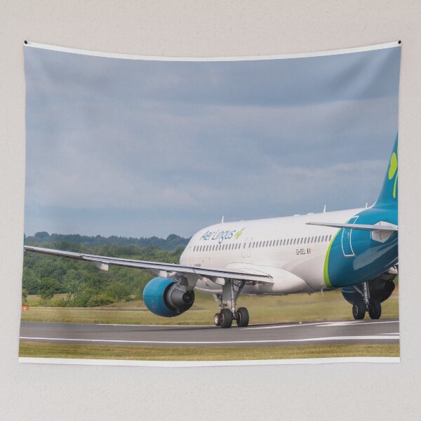 Item preview, MAN to DUB Aer Lingus Airbus A320-214 designed and sold by Skyframe Aviation.