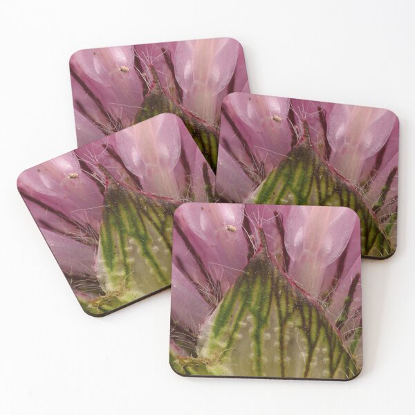 Item preview, Clover Flower Macro Detail  designed and sold by Goiko7Margarita.