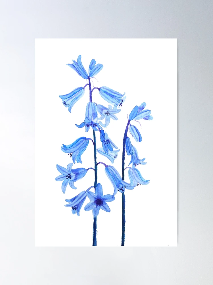 Premium Vector  Nature flower bluebell flower floral leaf plant