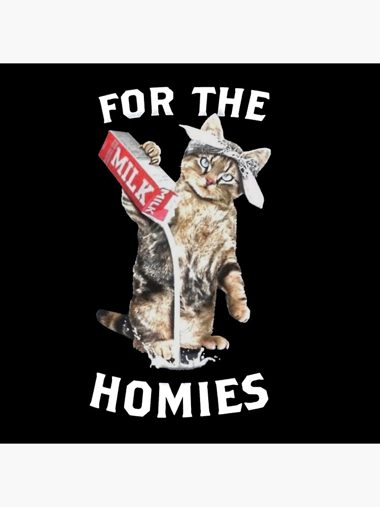 for my homies cat shirt