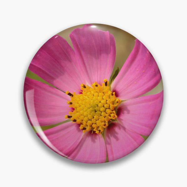 Item preview, Pink Pink Cosmos Flower in Full Bloom designed and sold by Goiko7Margarita.