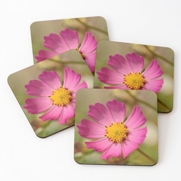 Item preview, Pink Pink Cosmos Flower in Full Bloom designed and sold by Goiko7Margarita.