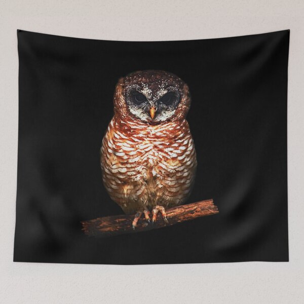 Item preview, Twit-Twoo designed and sold by Murph's Images.