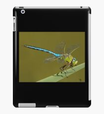 Emperor Dragonfly iPad Case/Skin